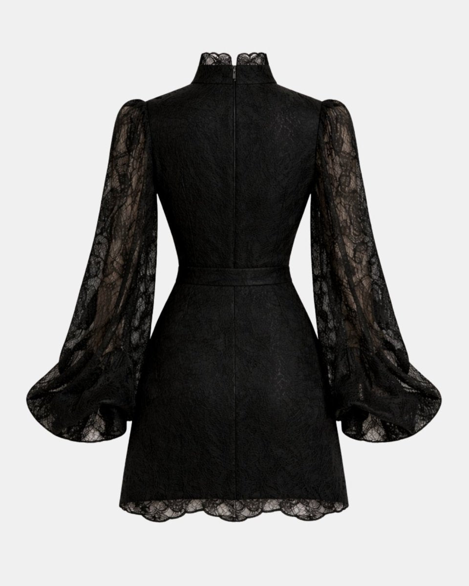 A black lace long-sleeve mini dress with a high mock neck and a matching waist tie, shown from the back on a light gray background.